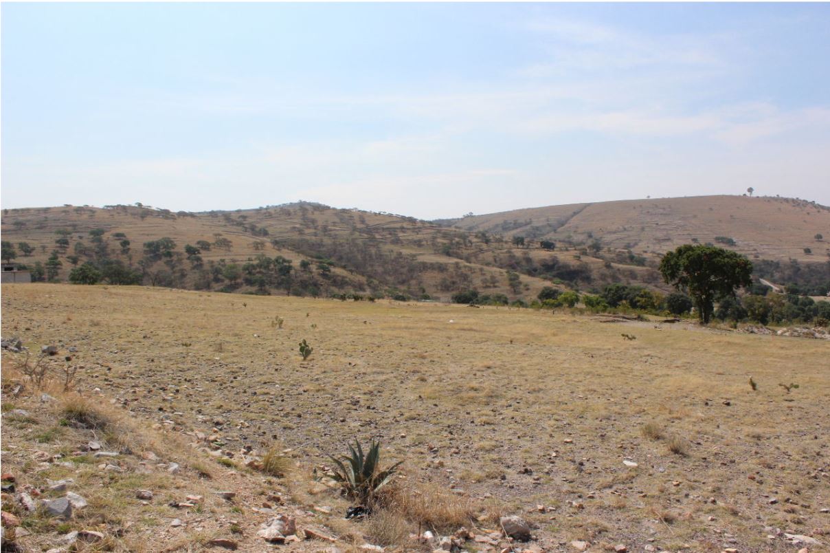 Terreno Santo Tomás Chautla