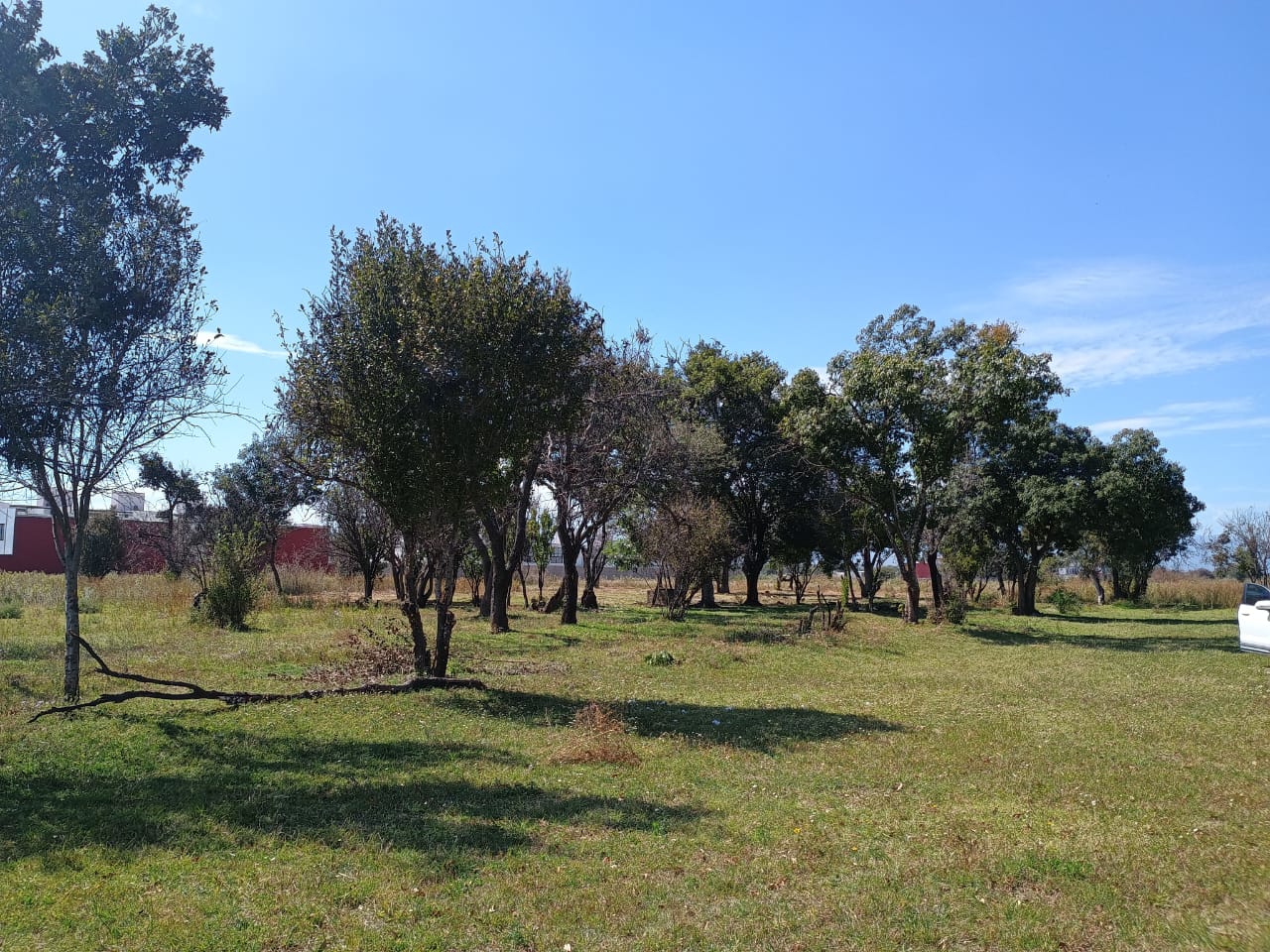 Terreno Cuautlancingo 1