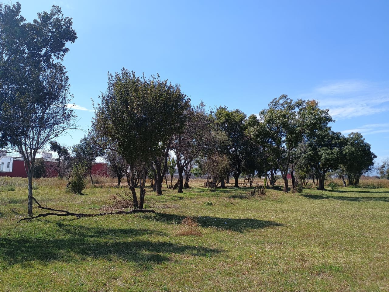 Terreno Cuautlancingo 1