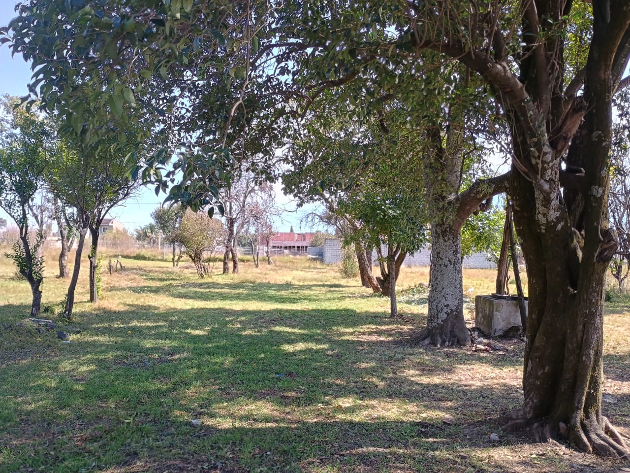 Terreno Cuautlancingo 1