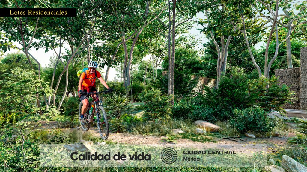 Ciudad Central 3